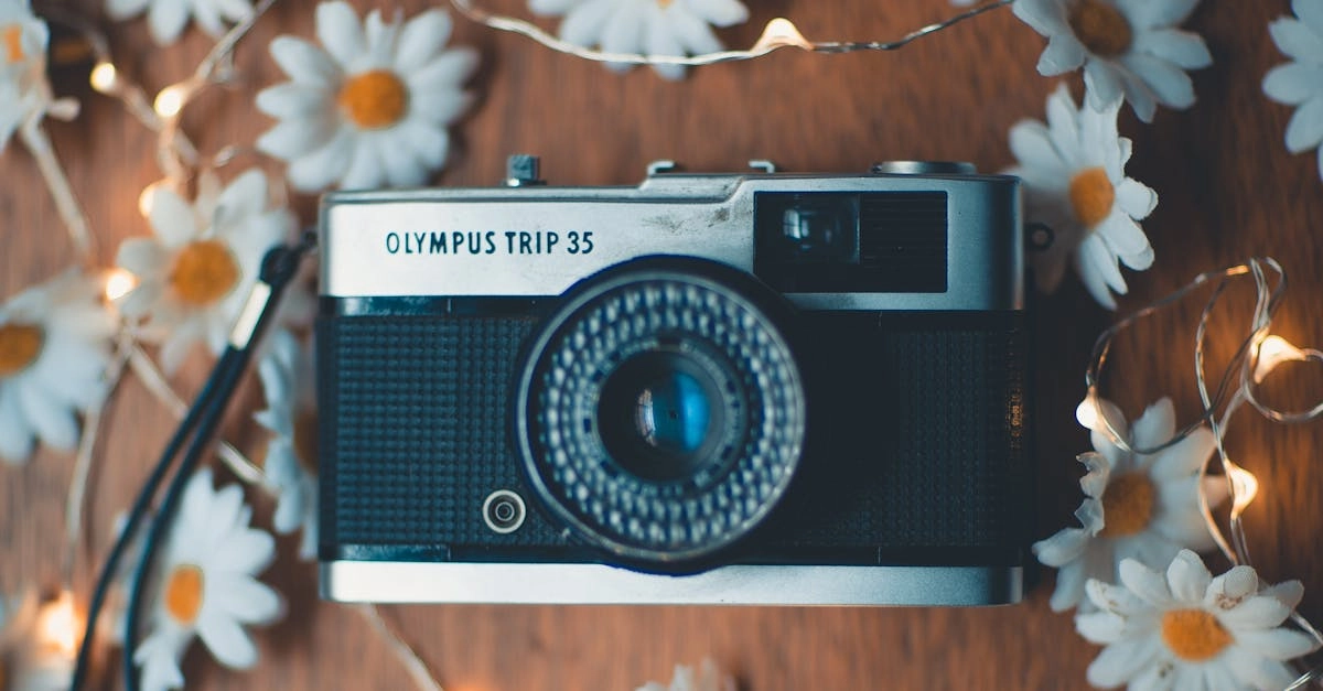 Поэтическое восхождение к вратам Олимпа в цифровом искусстве